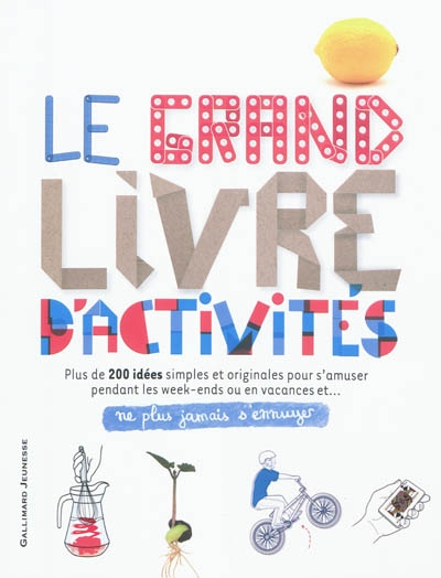 grand-livre-dactivites