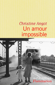 christine-angot-un-amour-impossibles
